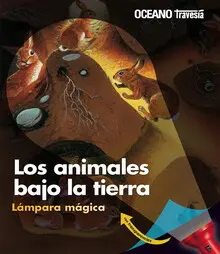 ANIMALES BAJO LA TIERRA